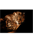 Plakat - Amore leopard - admen.dk