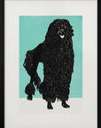 Plakat - Poodle