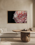 Plakat - Blush peony IV