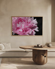 Plakat - Pink peony VI