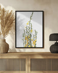 Poster - Yellow blooms