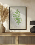 Plakat - Parsley vintage