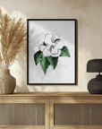 Plakat - White magnolia