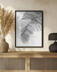 Plakat - Palm leaf in loose watercolor bw