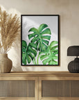 Plakat - Monstera leaves in loose watercolor