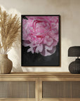 Plakat - Pink peony V