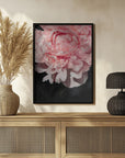 Plakat - Blush peony V