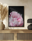 Plakat - Pink peony VIII