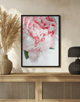 Plakat - Blush peony VII