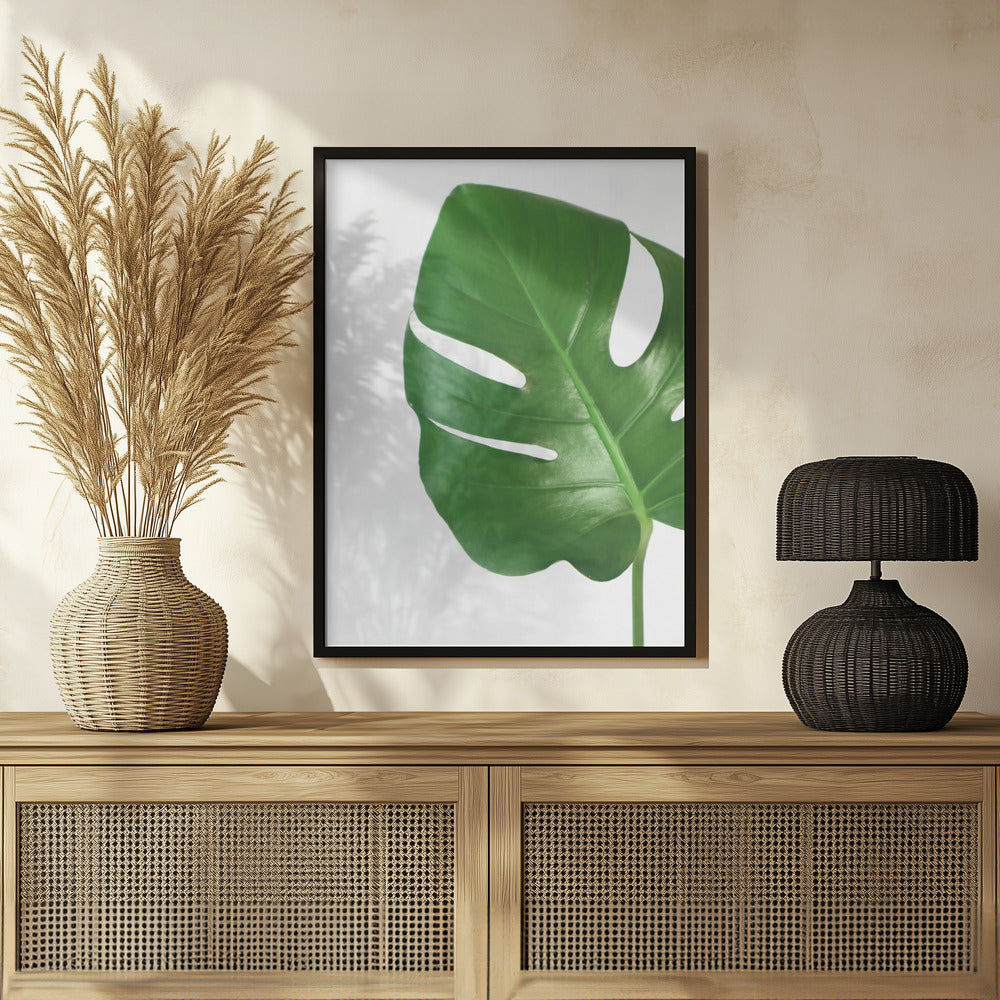 Plakat - Bright green monstera leaf