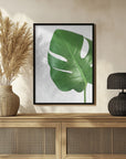 Plakat - Bright green monstera leaf