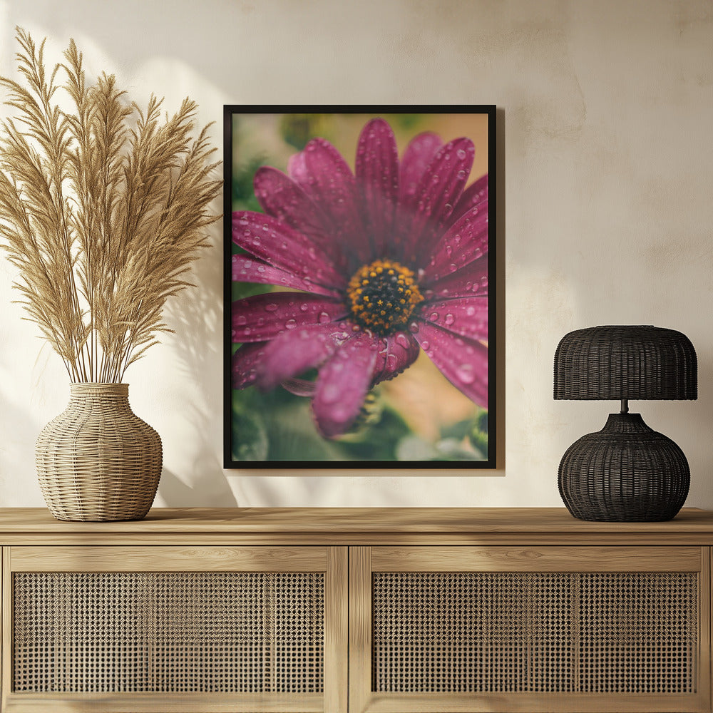 Poster - Pink Flowers 039