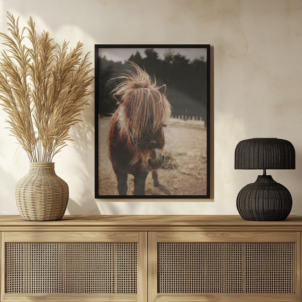 Poster - Small Horse