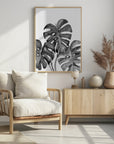 Plakat - Monstera leaves in loose watercolor bw