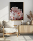 Poster - Blush peony VIII