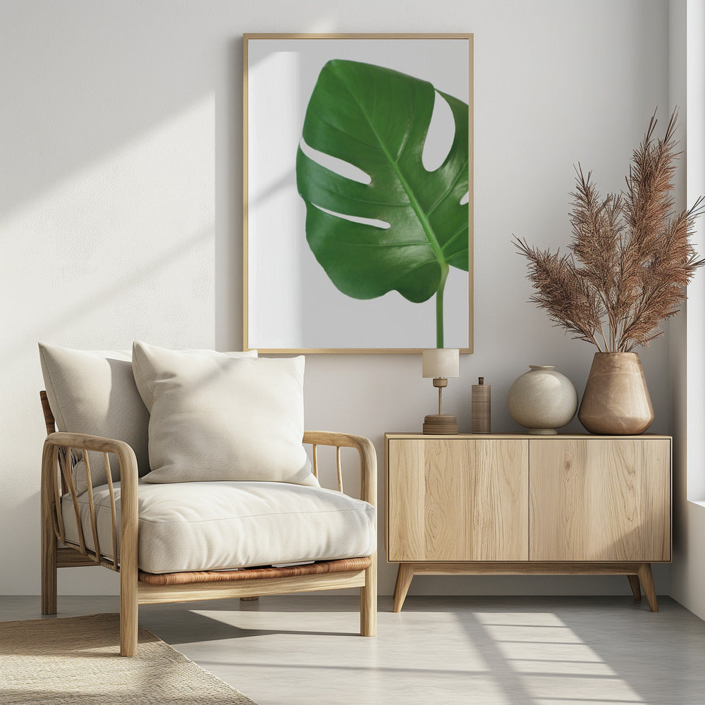 Plakat - Bright green monstera leaf