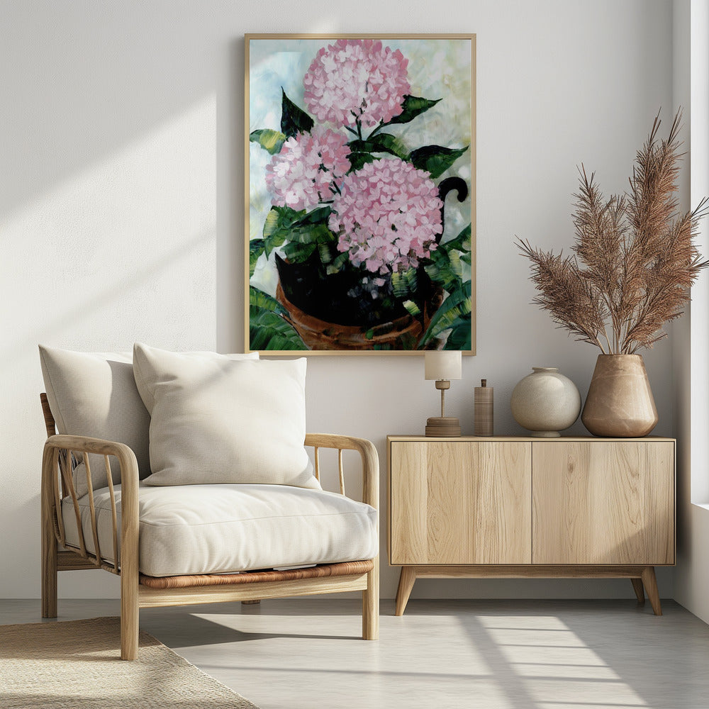 Plakat - Potted pink hydrangeas