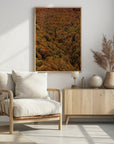 Poster - Autumn Forest 03