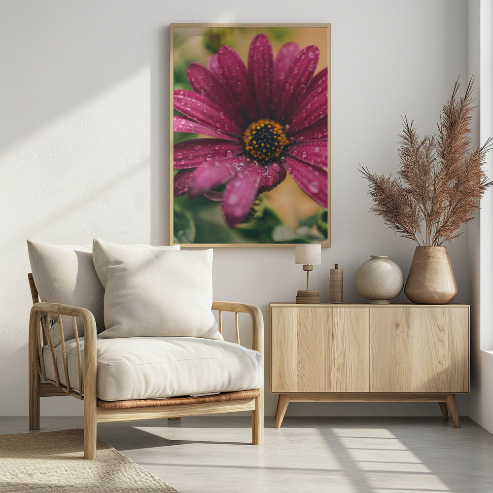 Poster - Pink Flowers 039