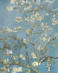 Plakat - Vincent Van Gogh's Almond Blossom (1890)