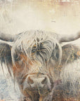 Plakat - Cow Highland Illustration Art 01