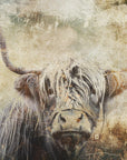 Plakat - Cow Highland Illustration Art 03