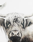 Plakat - Cow Highland Illustration Art 06