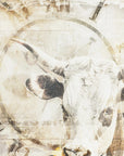 Plakat - Cow Animal Vintage Art Illustration Wallart 02