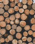 Plakat - Wood Logs 03