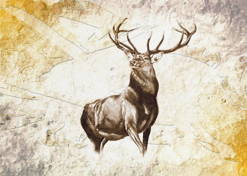 Poster - Red Deer 12