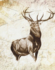 Poster - Red Deer 12