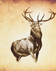 Poster - Red Deer 11