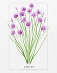 Plakat - Chives II