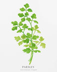 Plakat - Parsley I