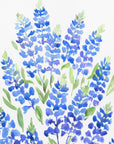 Plakat - Watercolor Texas bluebonnets