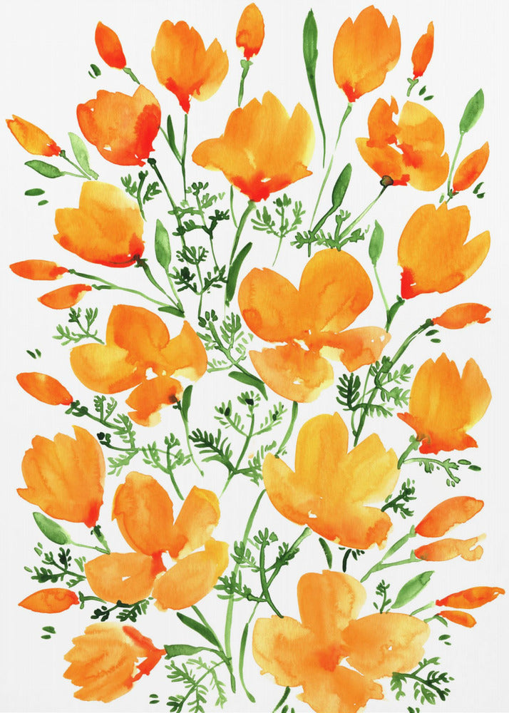 Plakat - Watercolor California poppies