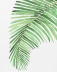 Plakat - Palm leaf in loose watercolor