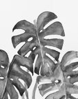 Plakat - Monstera leaves in loose watercolor bw