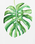 Plakat - Monstera leaf