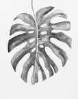 Plakat - BW monstera leaf