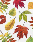 Plakat - Painterly fall leaves