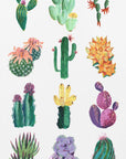 Plakat - Collection of cacti