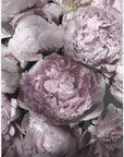 Poster - Life blooms everyday peonies