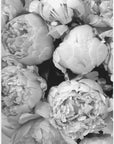 Plakat - Smile and dream peonies BW