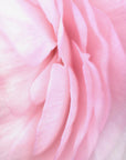 Plakat - Soft pink petals