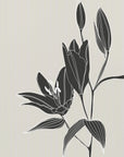 Plakat - Line art lillies in black