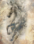 Poster - Horse Illustration 02