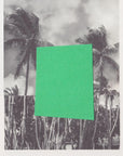 Plakat - Page 69 / Palm Trees