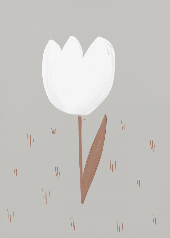 Plakat - White Tulip