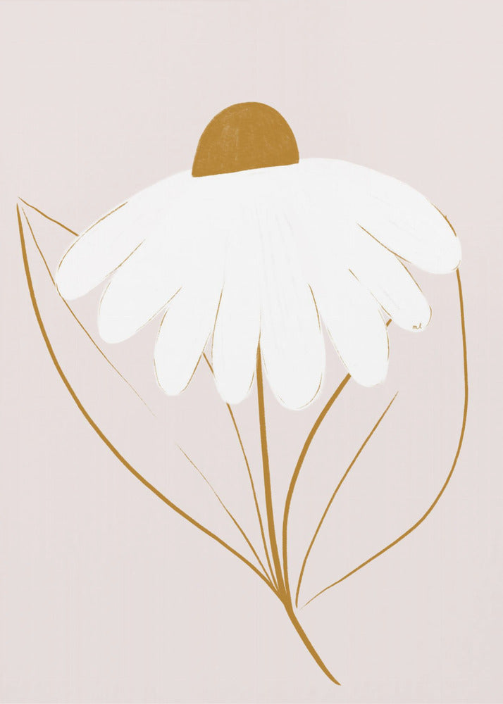 Plakat - White Daisy